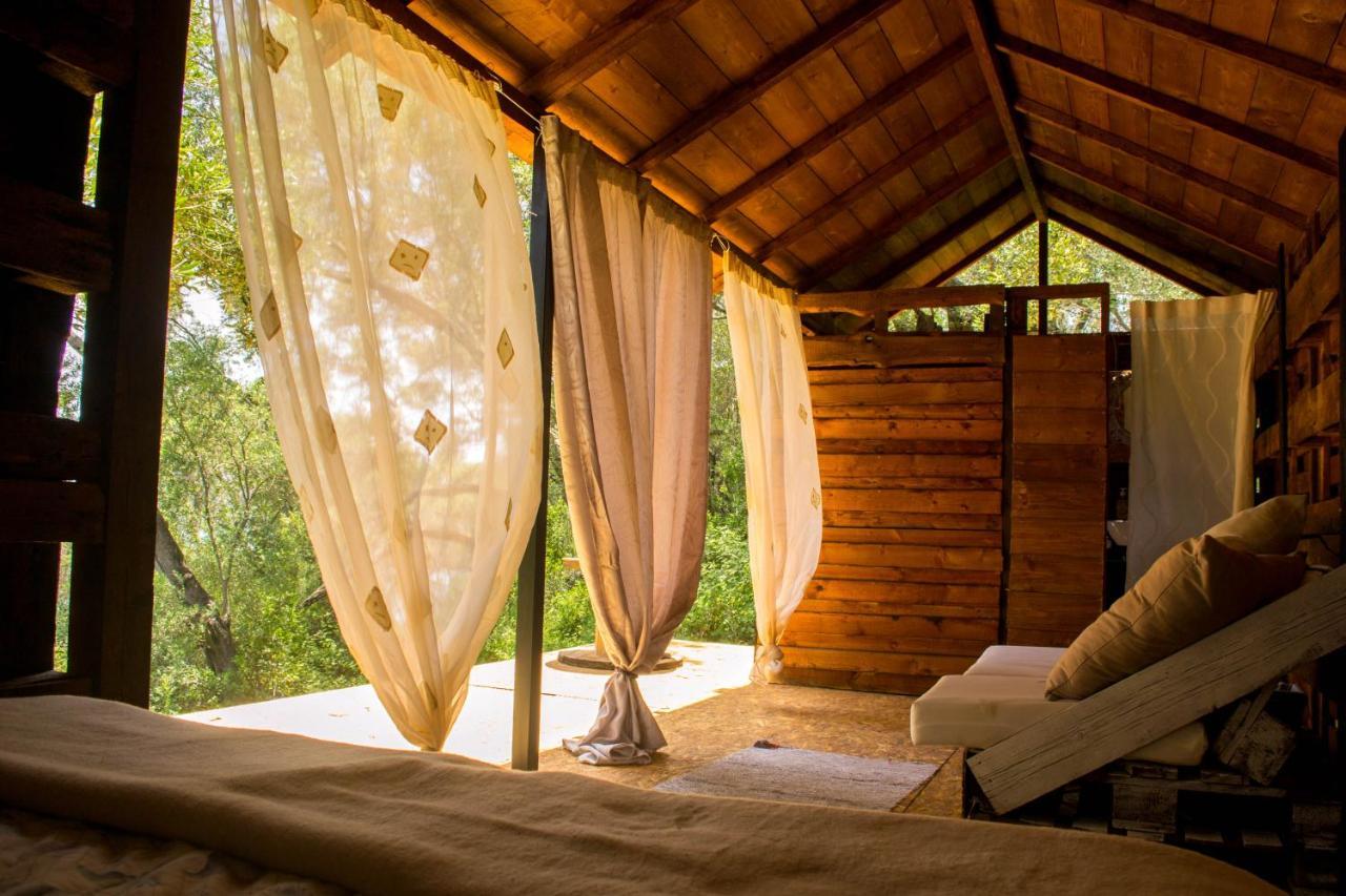 Pelekas Olive Grove Oasis Room No4 المظهر الخارجي الصورة